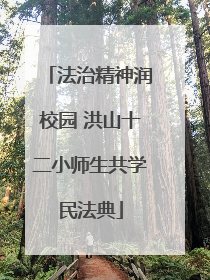 法治精神润校园 洪山十二小师生共学民法典